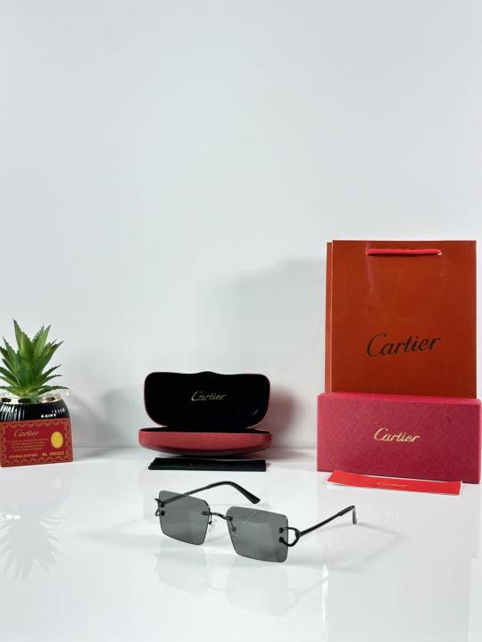 CT 1033 Black Sunglass Rimless