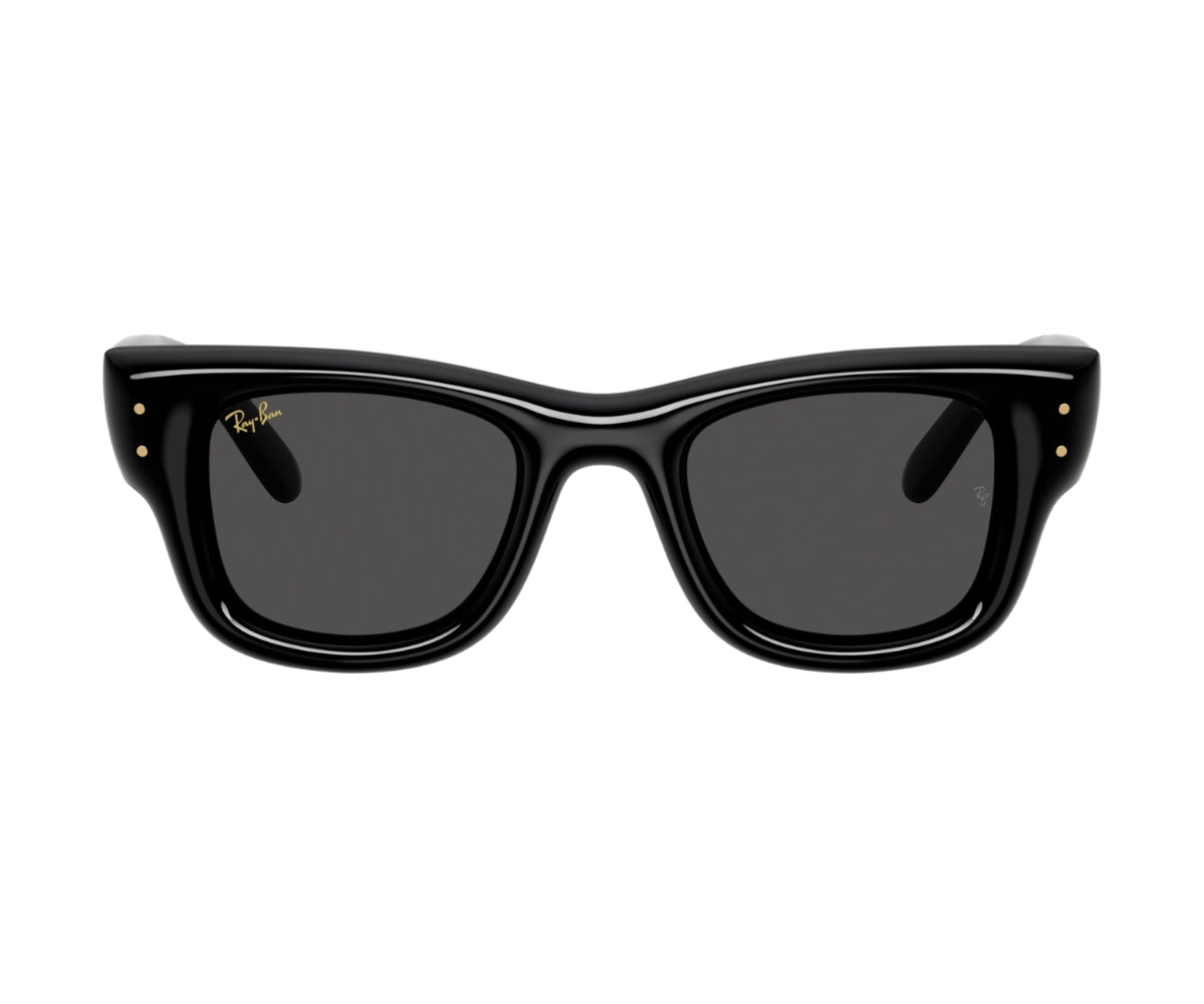 4940 Puffer Black Sunglass
