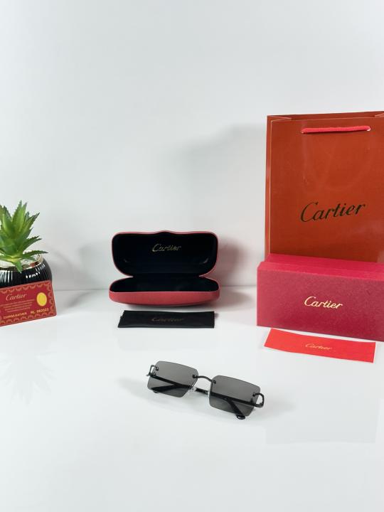 CT 1033 Black Sunglass Rimless