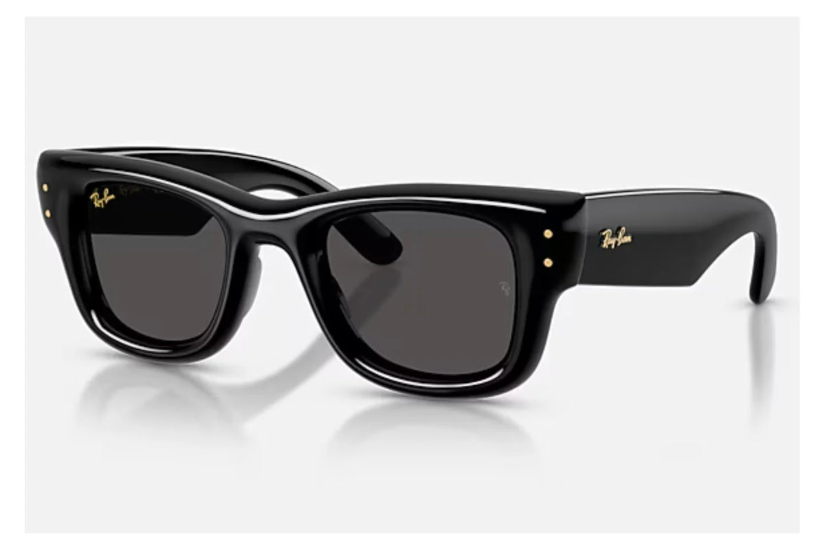 4940 Puffer Black Sunglass